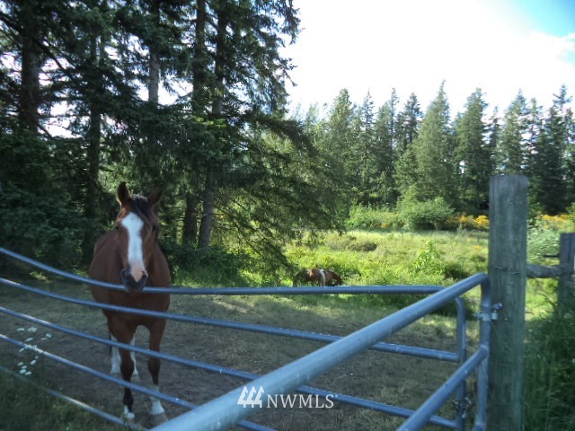 14327 Solberg Road Southeast Yelm, WA 98597 - Photo 24 of 25 Gallery Image 24