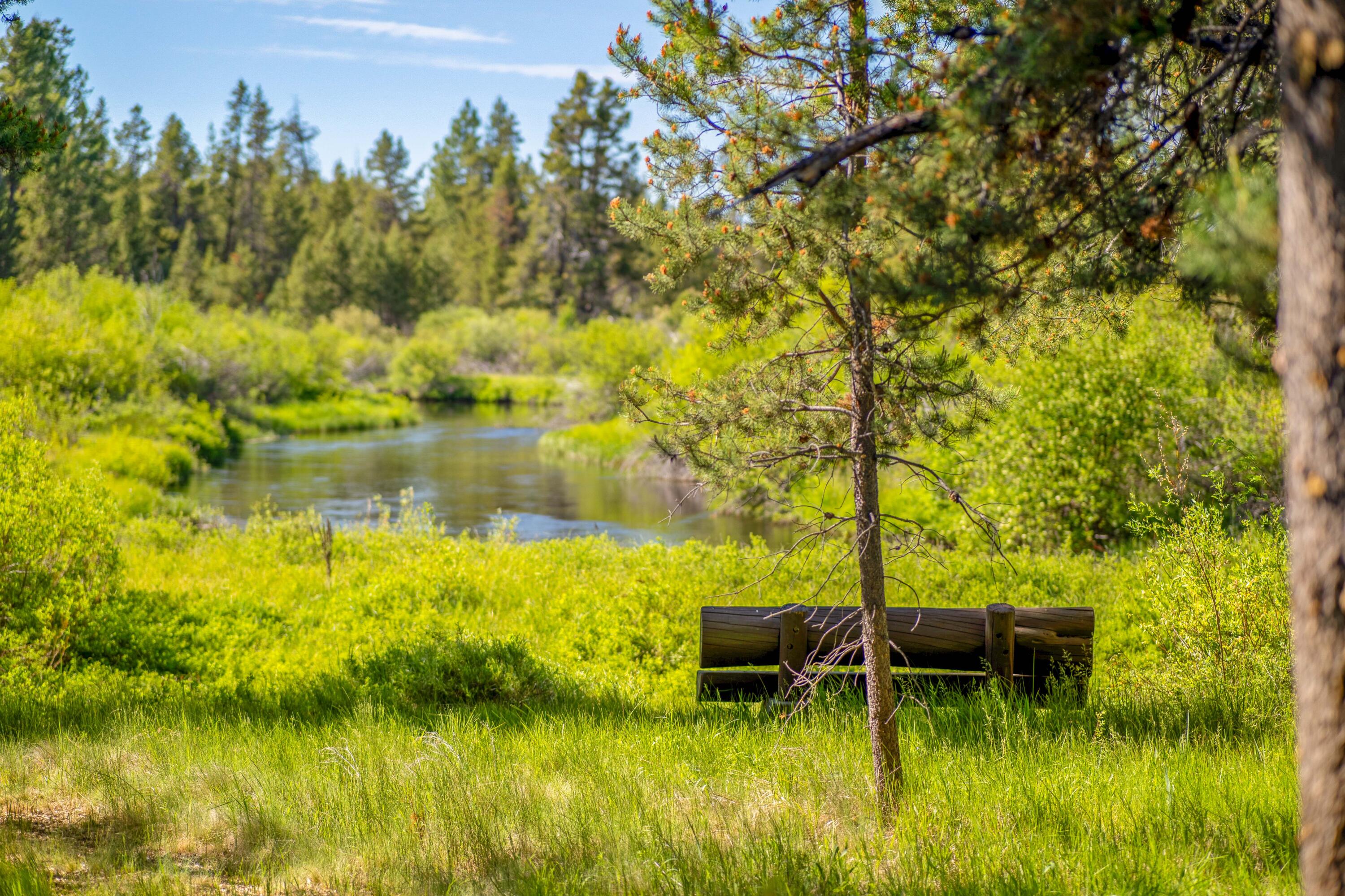 56087 School House Road Bend, OR 97707 - Photo 41 of 52 41