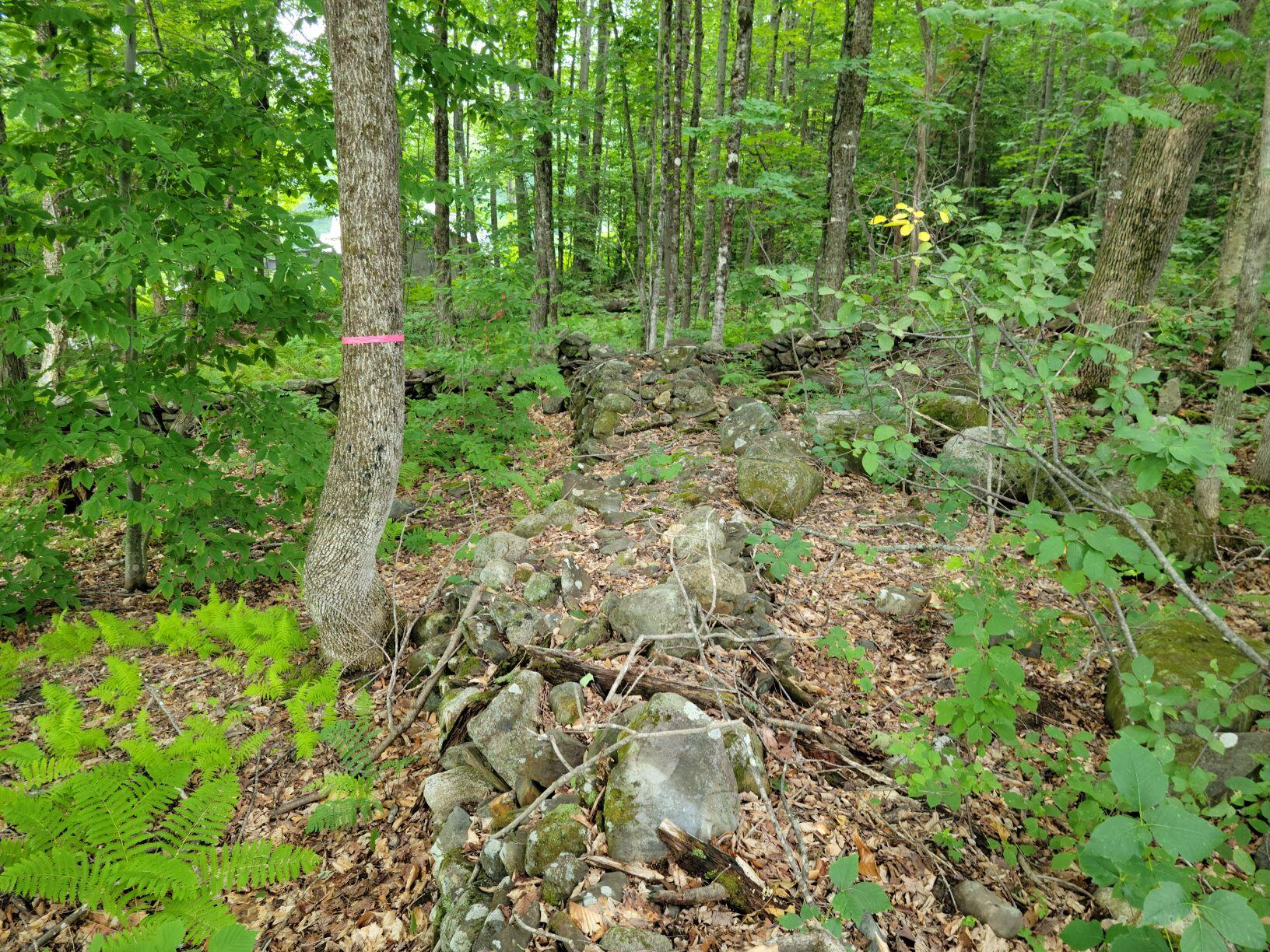 0 Owen Mann Road Farmington, ME 04938 - Photo 5 of 11 Lot stone wall 2