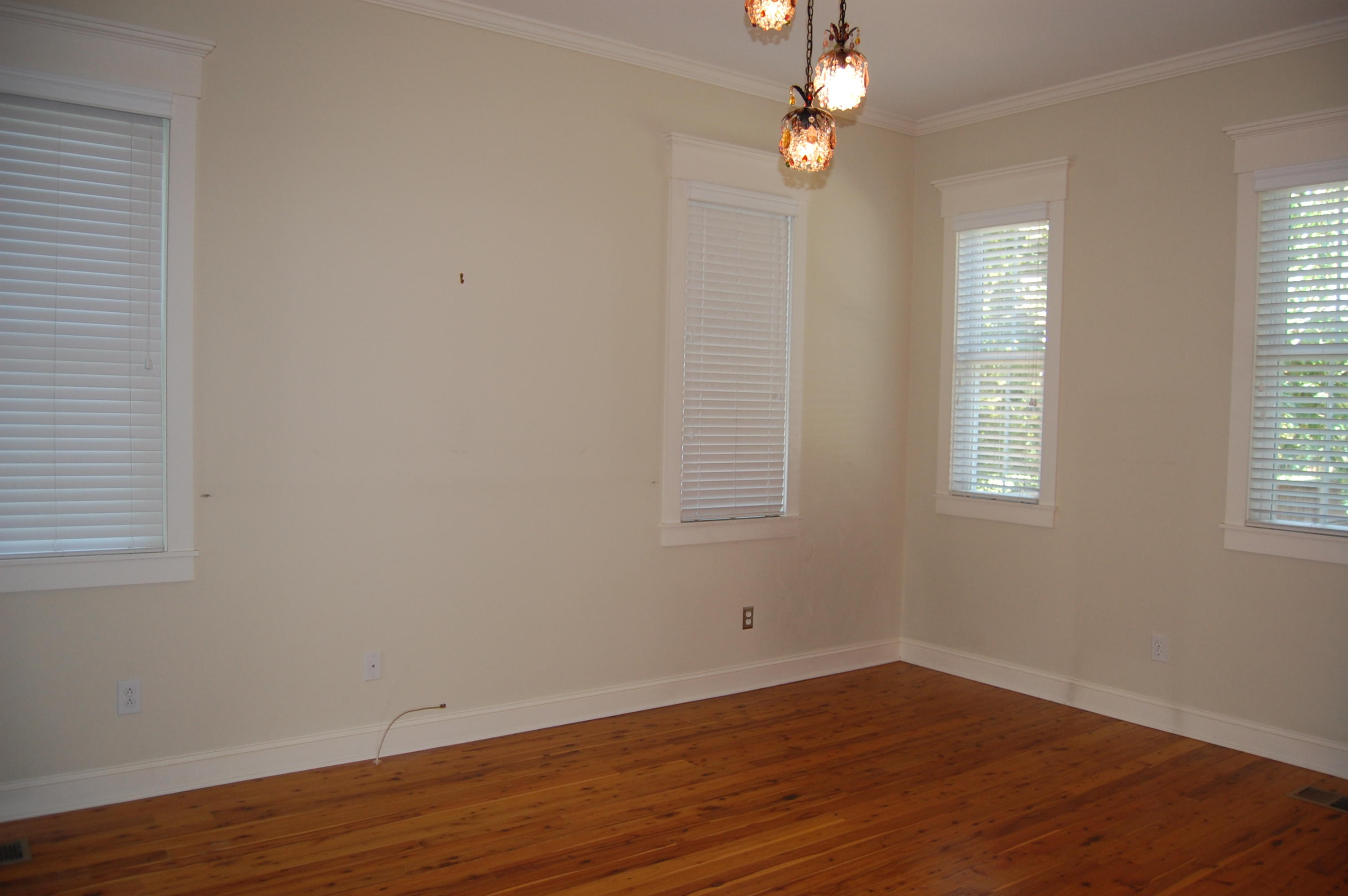 1309 Langford Road Mount Pleasant, SC 29464 - Photo 11 of 34 DSC_0502