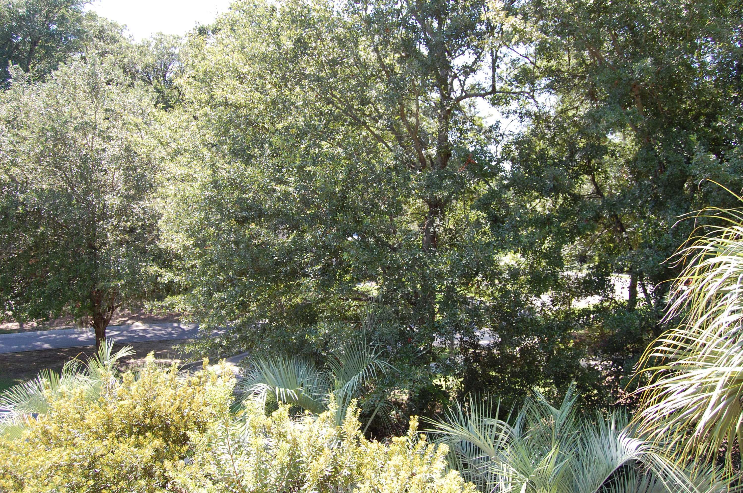 1309 Langford Road Mount Pleasant, SC 29464 - Photo 34 of 34 DSC_0522