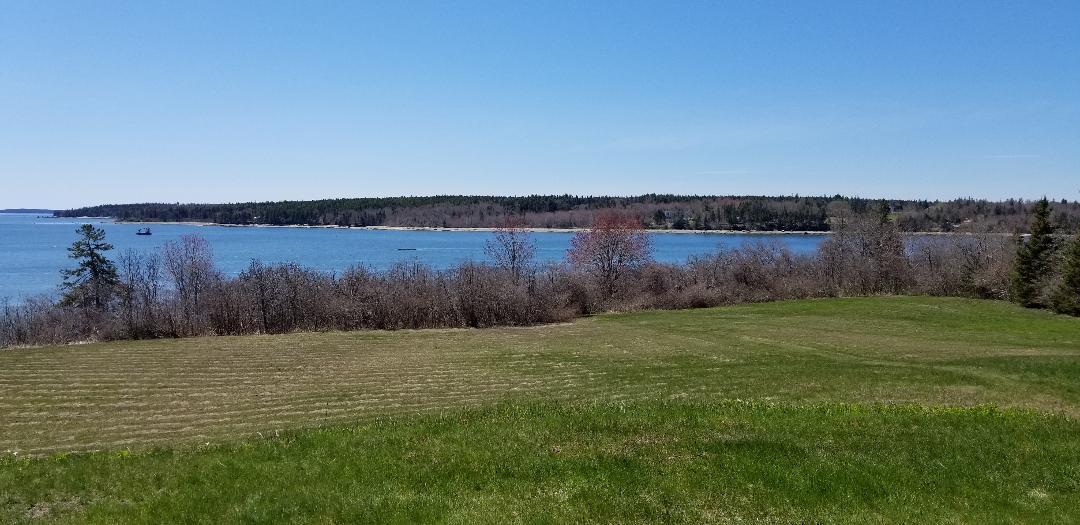 341 Flye Point Road Brooklin, ME 04616 - Photo 8 of 27 larkin10 - Copy