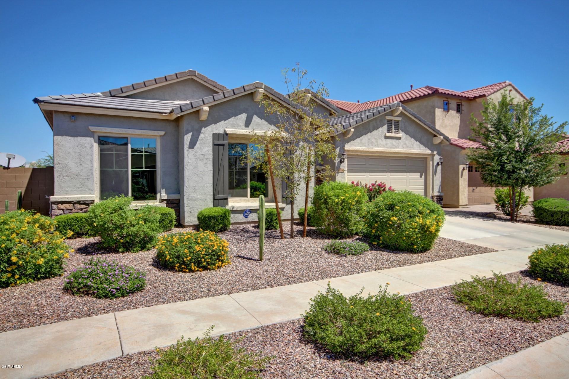 3268 East Azalea Drive Gilbert, AZ 85298 - Photo 5 of 34 Azalea (1)