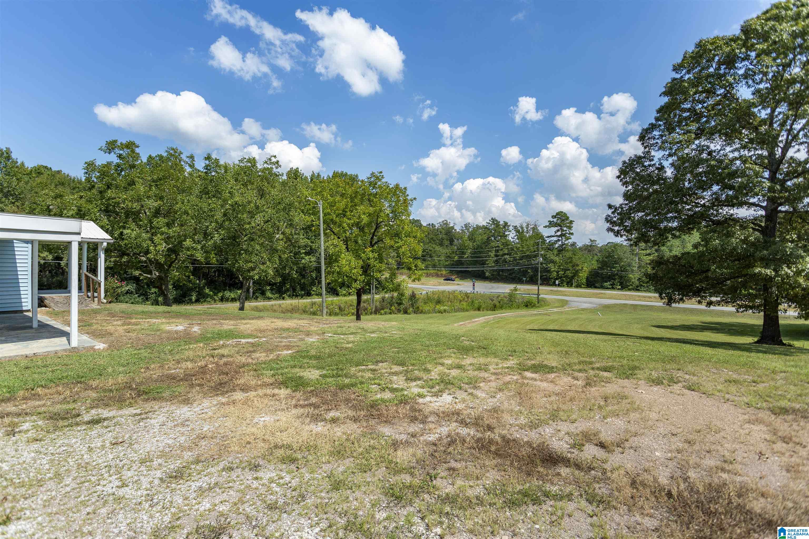 61 Idalia Road Talladega, AL 35160 - Photo 38 of 50