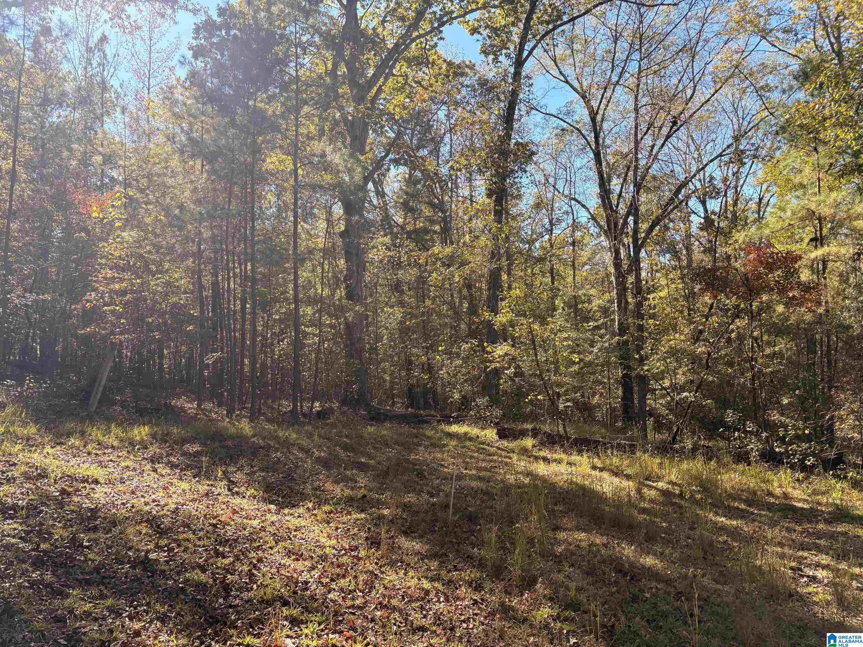 4540 Cabin Road, Unit 4 AND 6 Bessemer, AL 35022 - Photo 4 of 13