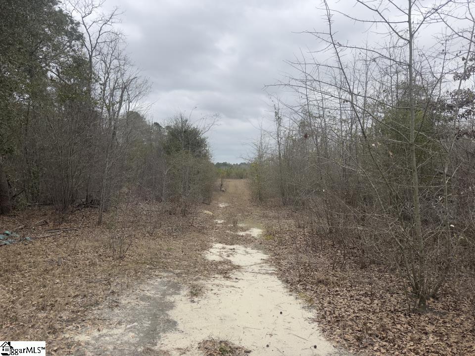 0 Wagener Road Wagener, SC 29164 - Photo 11 of 19
