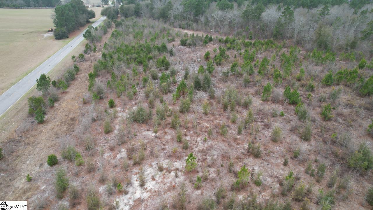 0 Wagener Road Wagener, SC 29164 - Photo 12 of 19