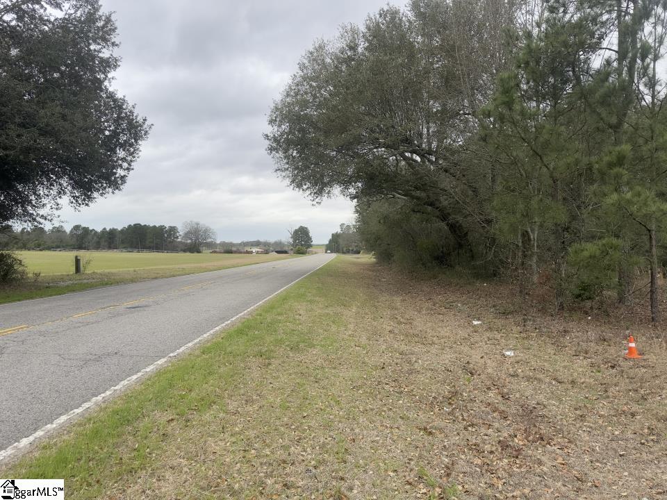 0 Wagener Road Wagener, SC 29164 - Photo 13 of 19