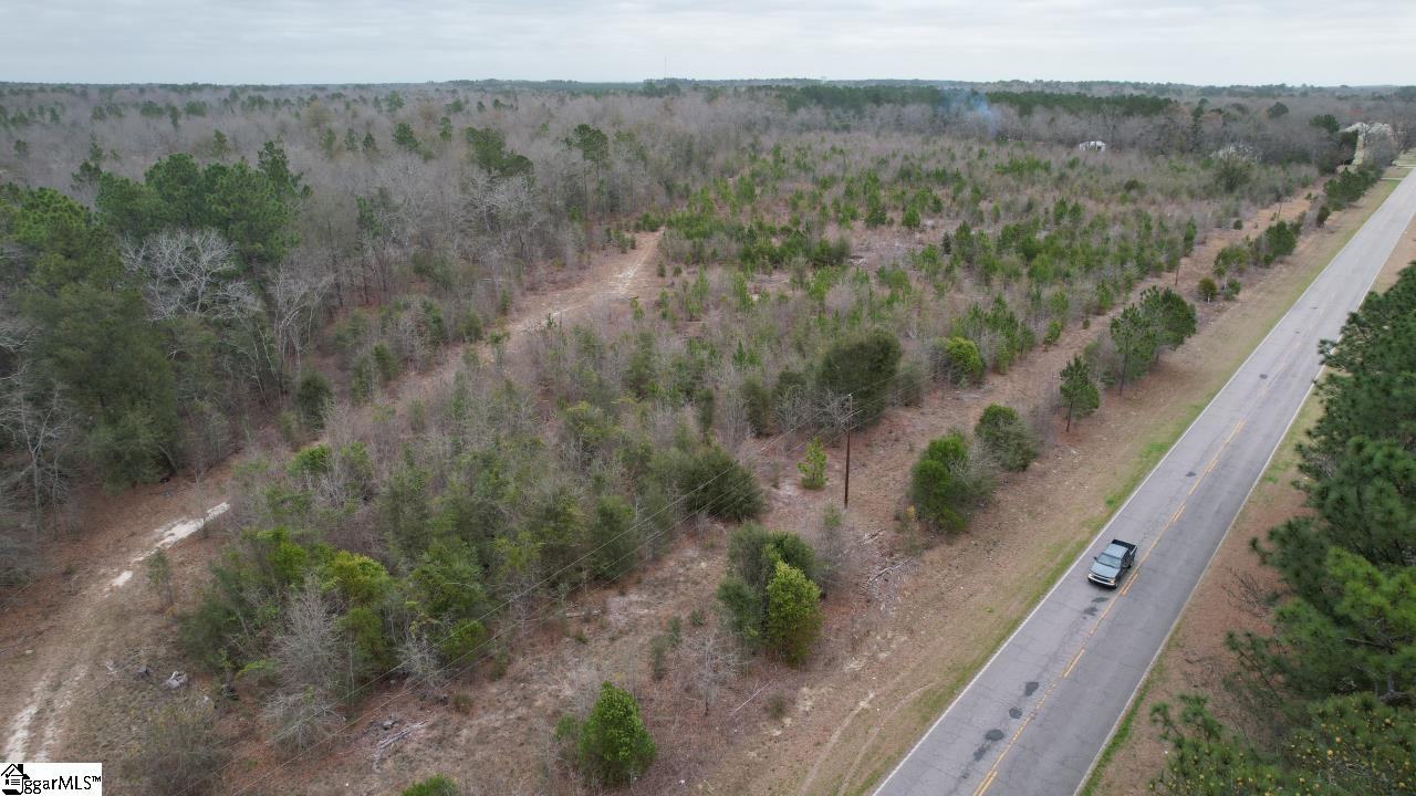0 Wagener Road Wagener, SC 29164 - Photo 14 of 19