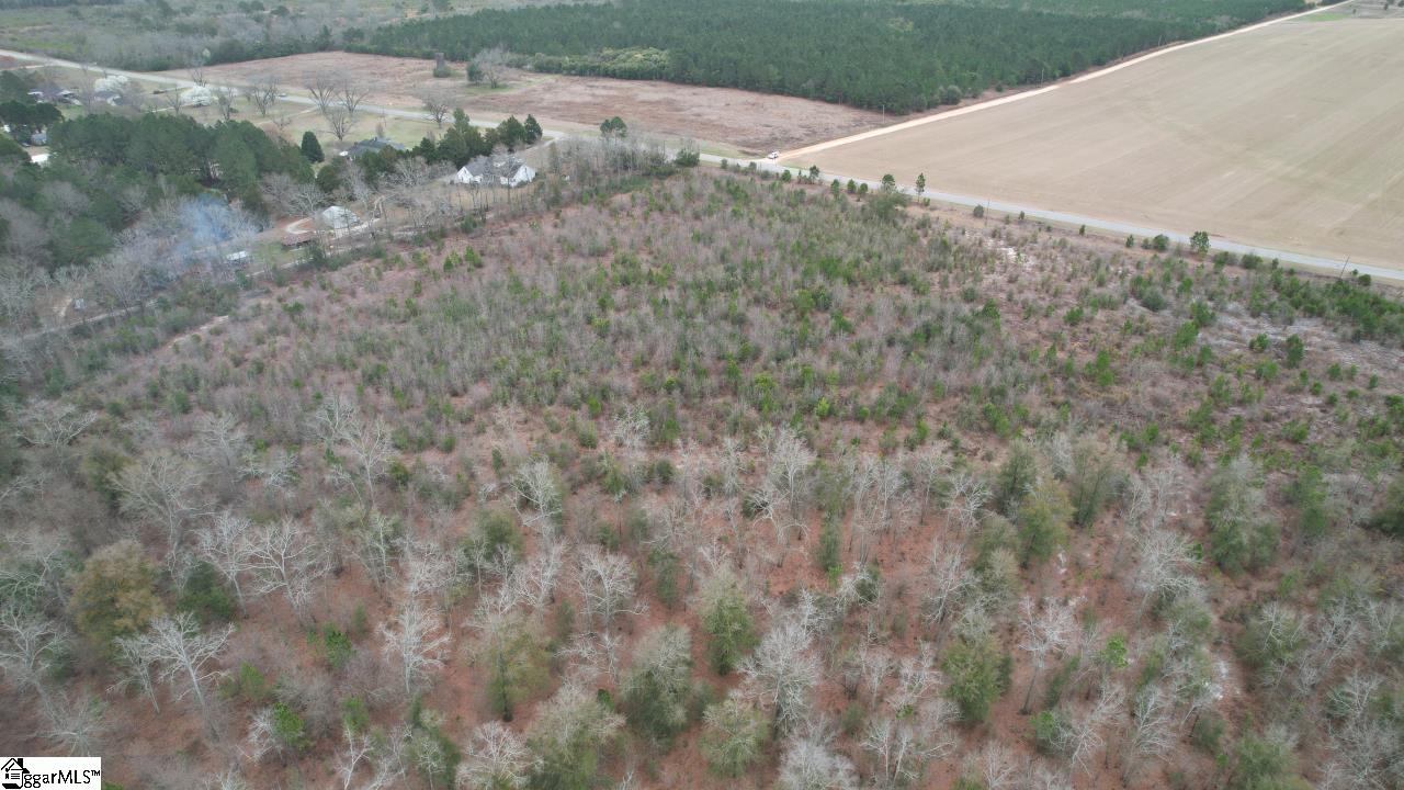 0 Wagener Road Wagener, SC 29164 - Photo 15 of 19