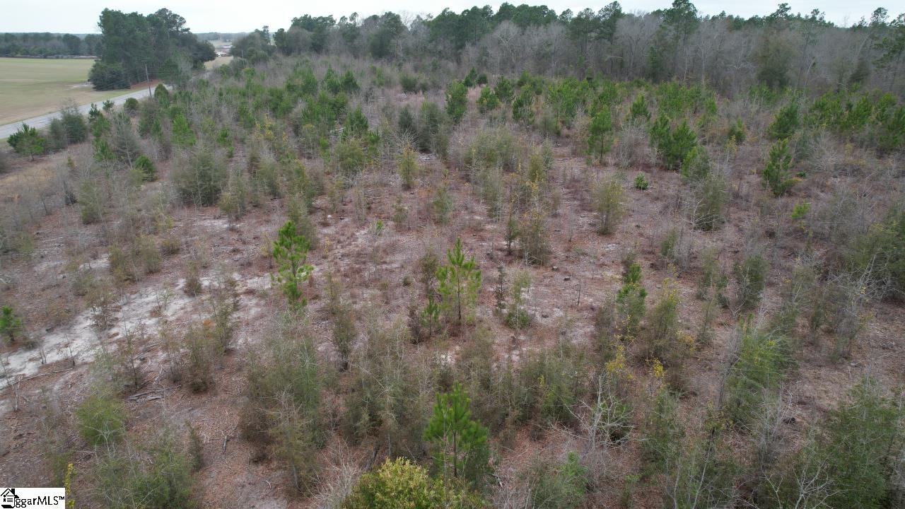 0 Wagener Road Wagener, SC 29164 - Photo 16 of 19