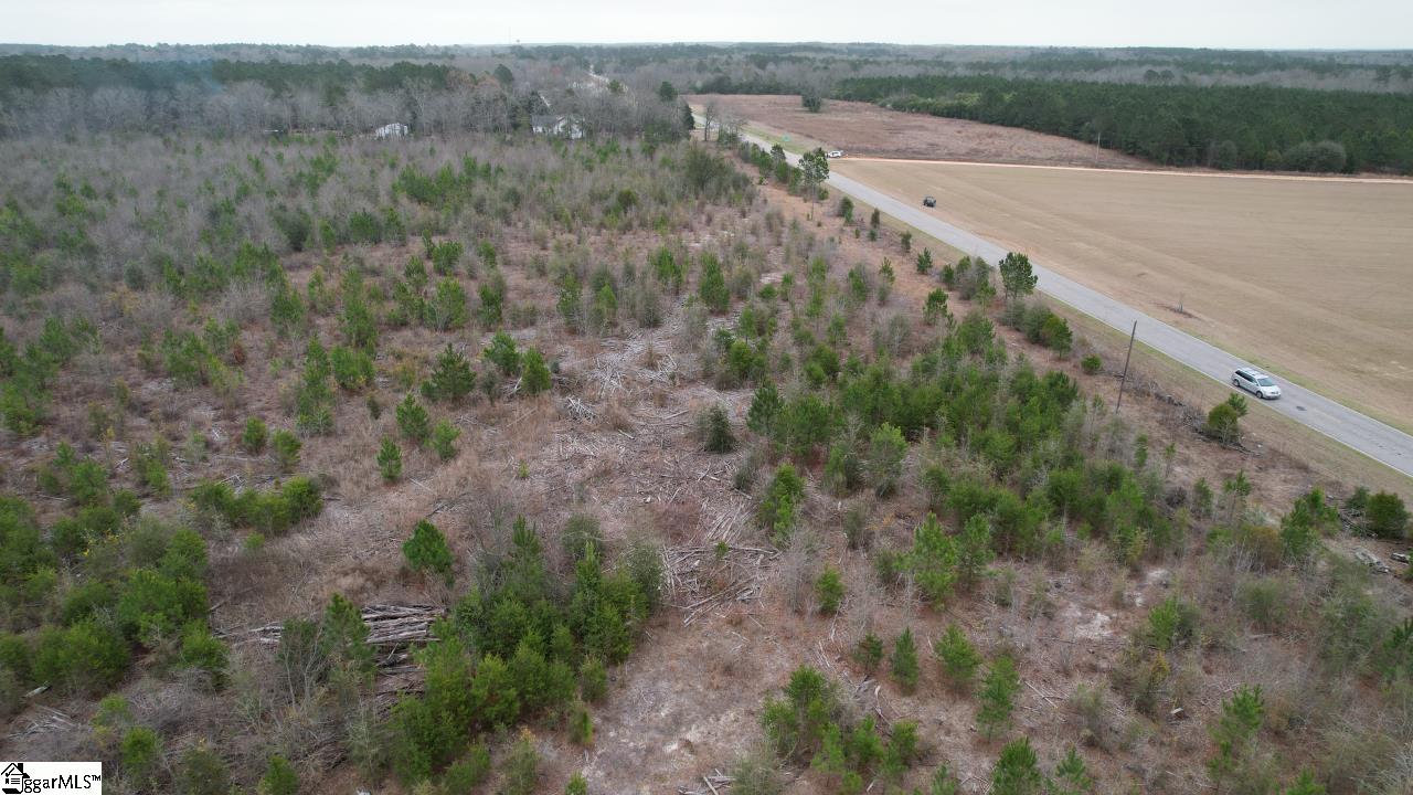0 Wagener Road Wagener, SC 29164 - Photo 17 of 19