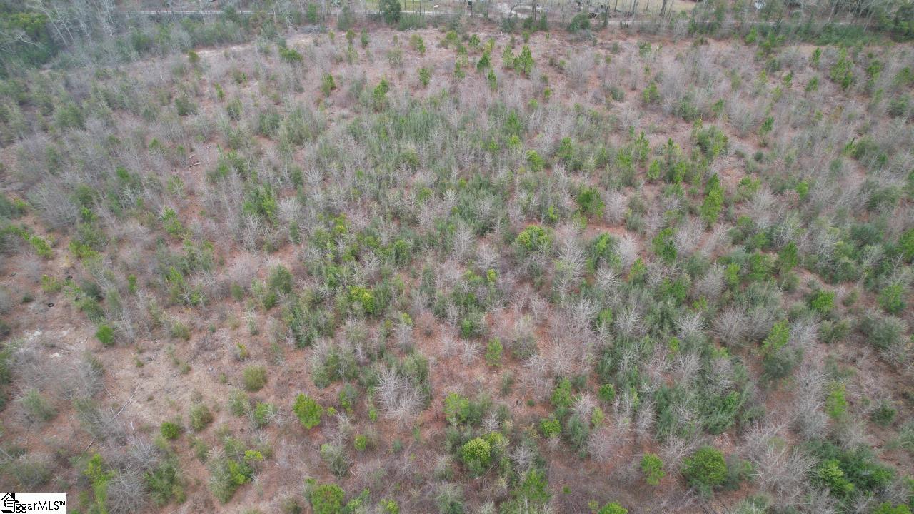 0 Wagener Road Wagener, SC 29164 - Photo 18 of 19