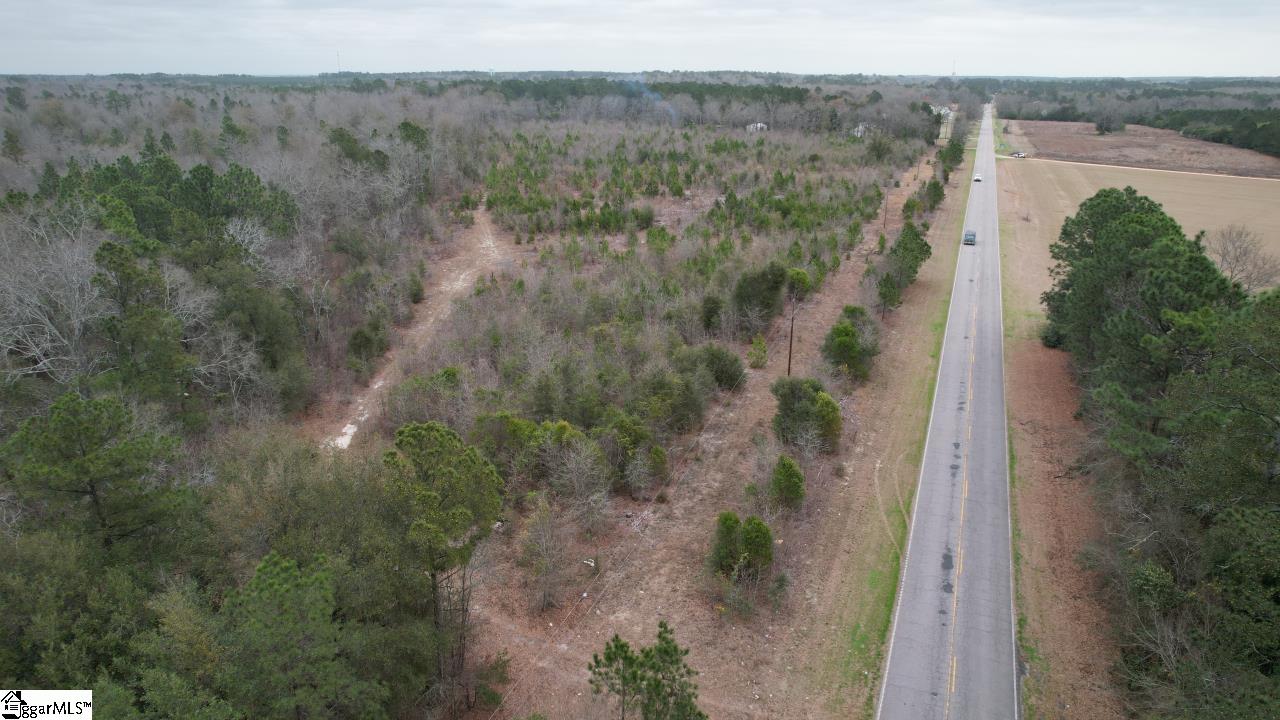 0 Wagener Road Wagener, SC 29164 - Photo 19 of 19