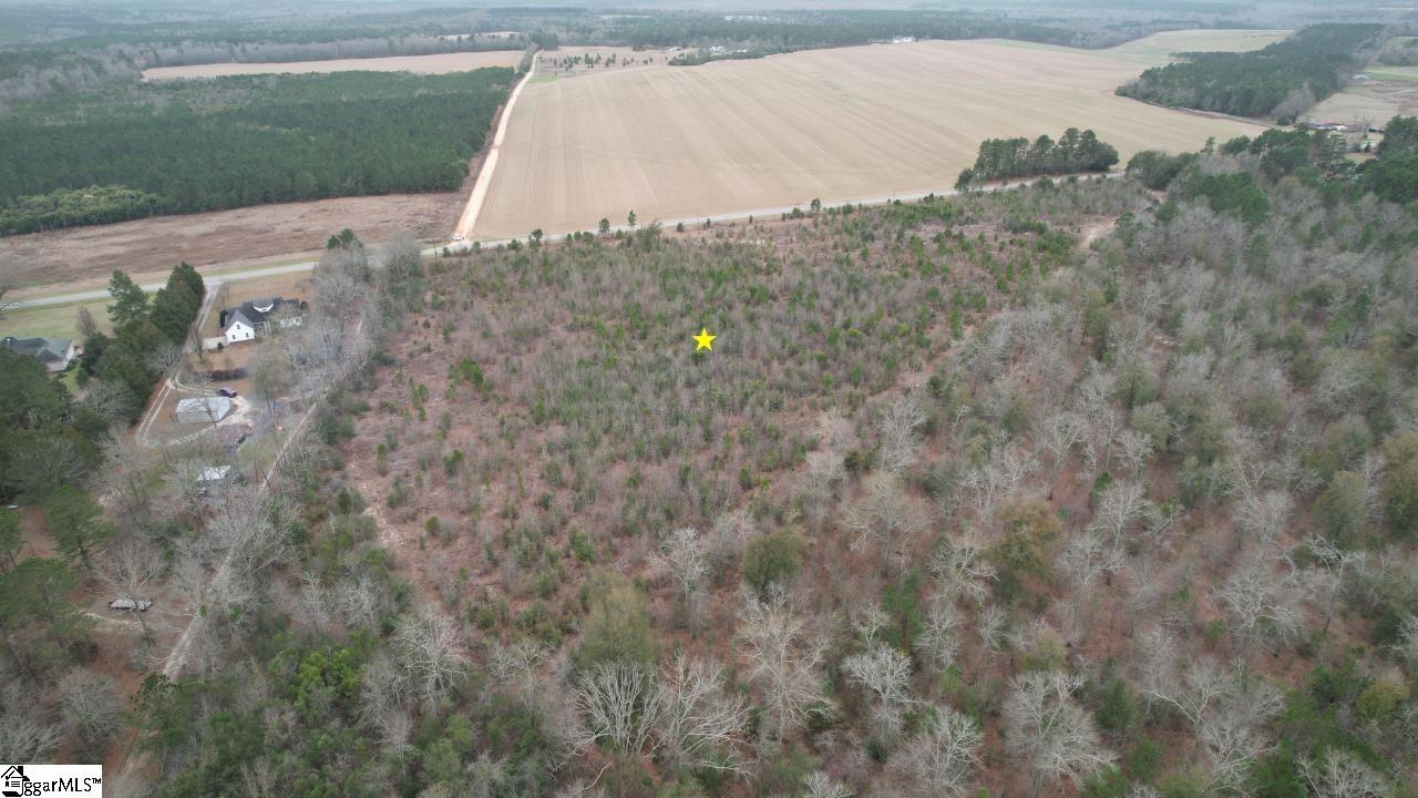 0 Wagener Road Wagener, SC 29164 - Photo 2 of 19
