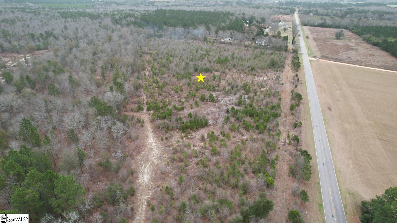 0 Wagener Road Wagener, SC 29164 - Photo 3 of 19