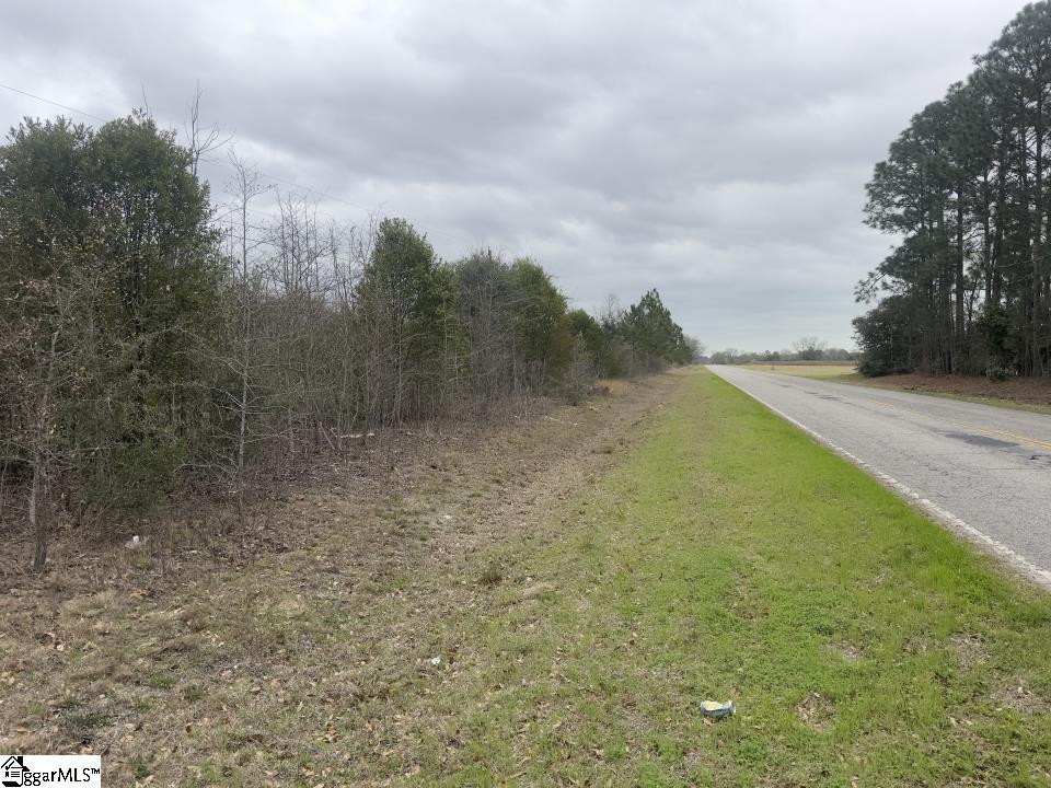 0 Wagener Road Wagener, SC 29164 - Photo 5 of 19
