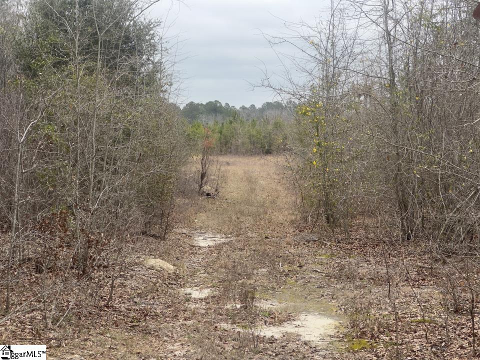 0 Wagener Road Wagener, SC 29164 - Photo 7 of 19