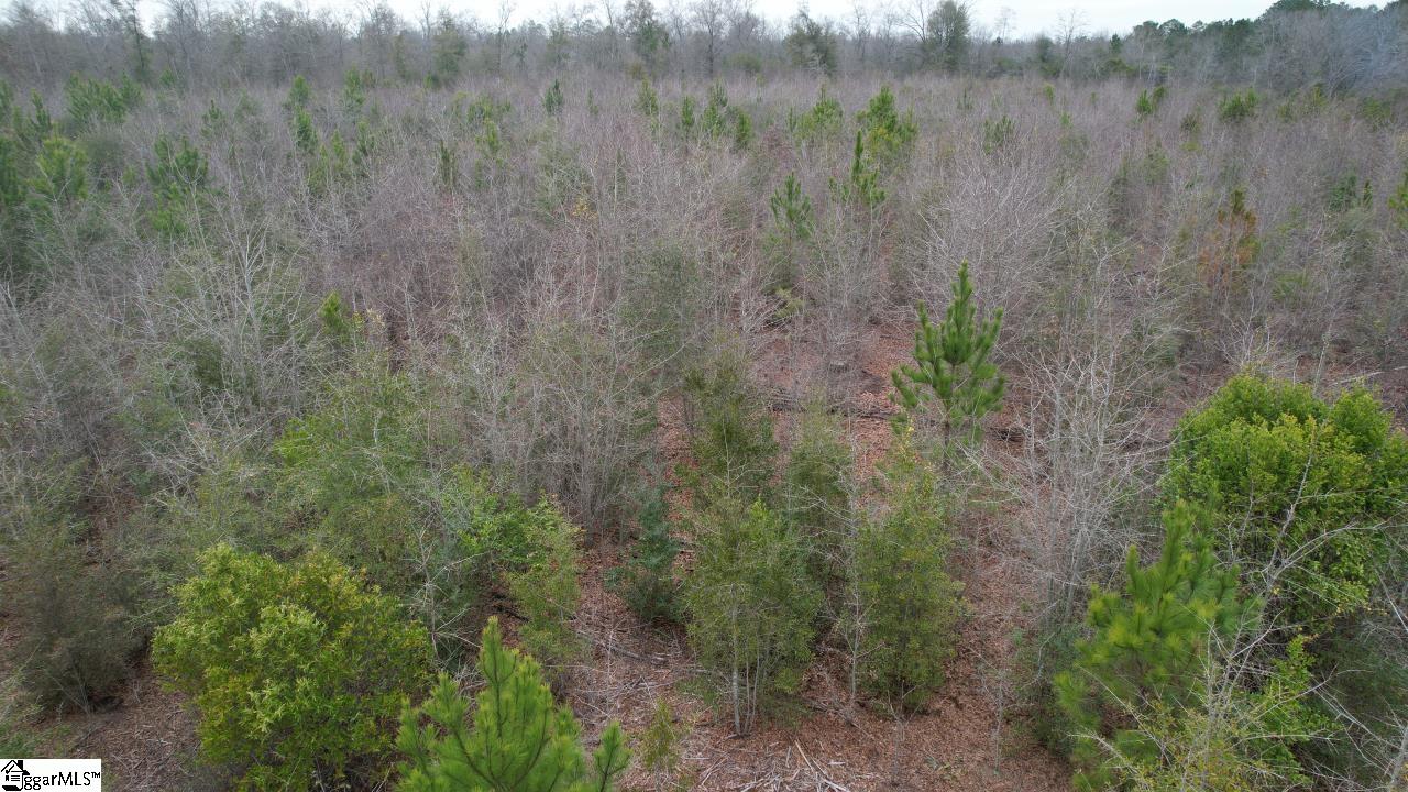 0 Wagener Road Wagener, SC 29164 - Photo 8 of 19