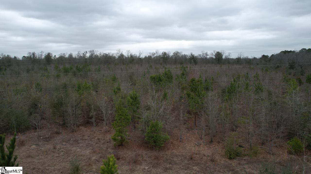 0 Wagener Road Wagener, SC 29164 - Photo 9 of 19