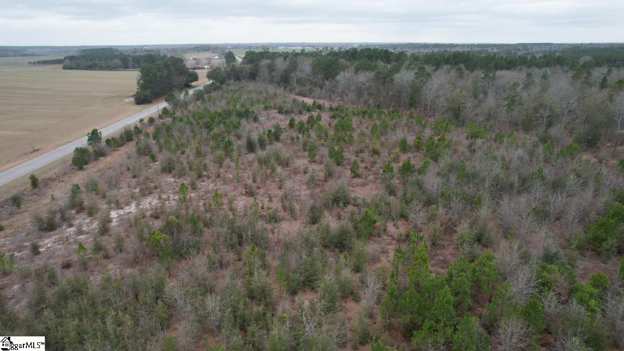 0 Wagener Road Wagener, SC 29164 - Photo 10 of 19