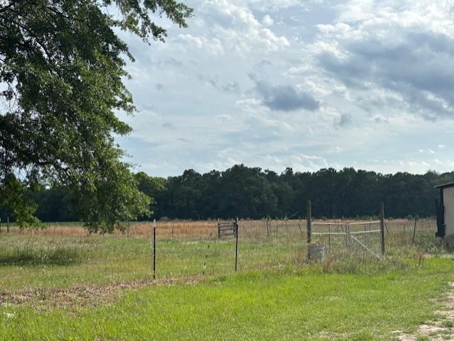 6880 Bloomville Road Manning, SC 29102 - Photo 23 of 29