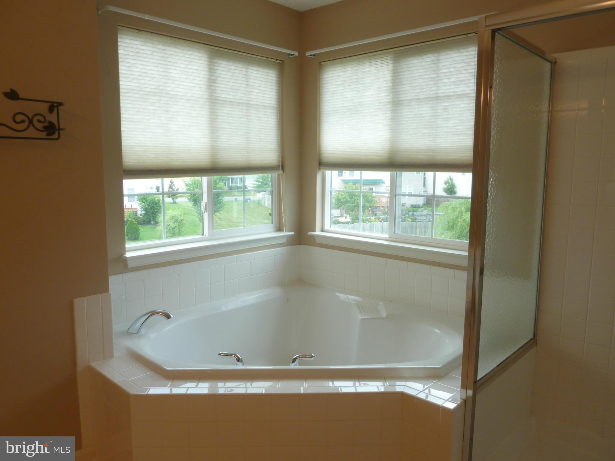 39 Hamstead Road Fredericksburg, VA 22405 - Photo 14 of 30 a bath tub sitting next to a window