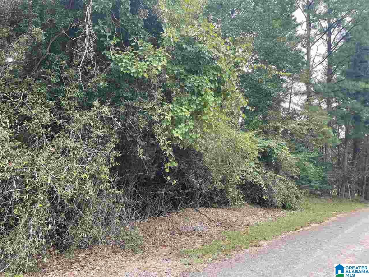0 Ransome Drive Oneonta, AL 35121 - Photo 1 of 2