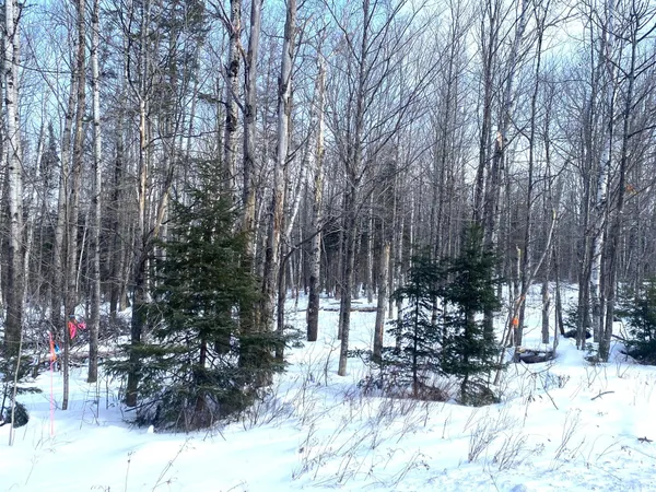 $107,000 | 47 Greenville Road, Unit LOT 3, Shirley, ME 04485