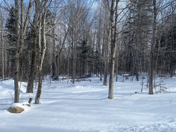 $107,000 | 47 Greenville Road, Unit LOT 3, Shirley, ME 04485