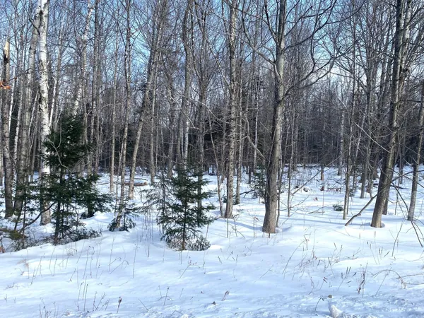 $107,000 | 47 Greenville Road, Unit LOT 3, Shirley, ME 04485