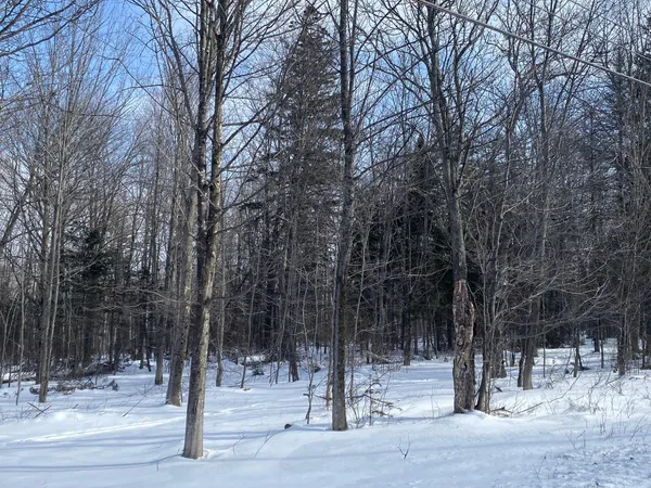 $107,000 | 47 Greenville Road, Unit LOT 3, Shirley, ME 04485