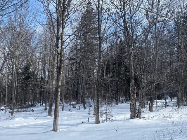 $107,000 | 47 Greenville Road, Unit LOT 3, Shirley, ME 04485