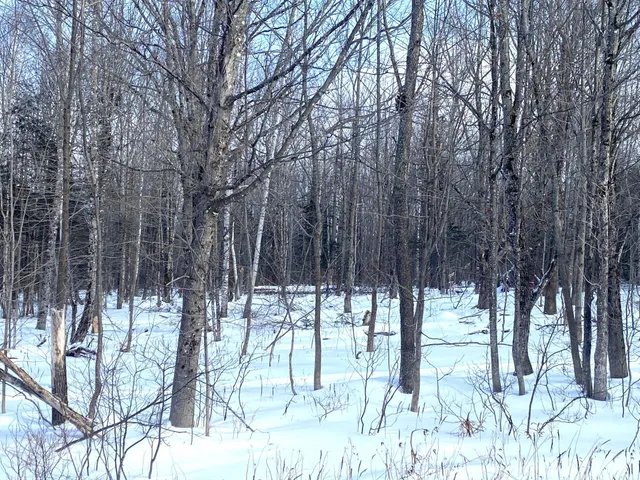 $107,000 | 47 Greenville Road, Unit LOT 3, Shirley, ME 04485