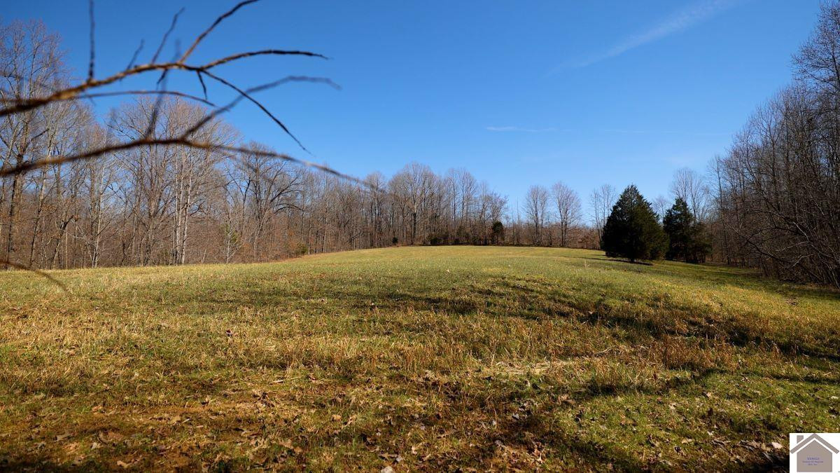 0 Wray Road Wingo, KY 42088 - Photo 19 of 39 Photo 19