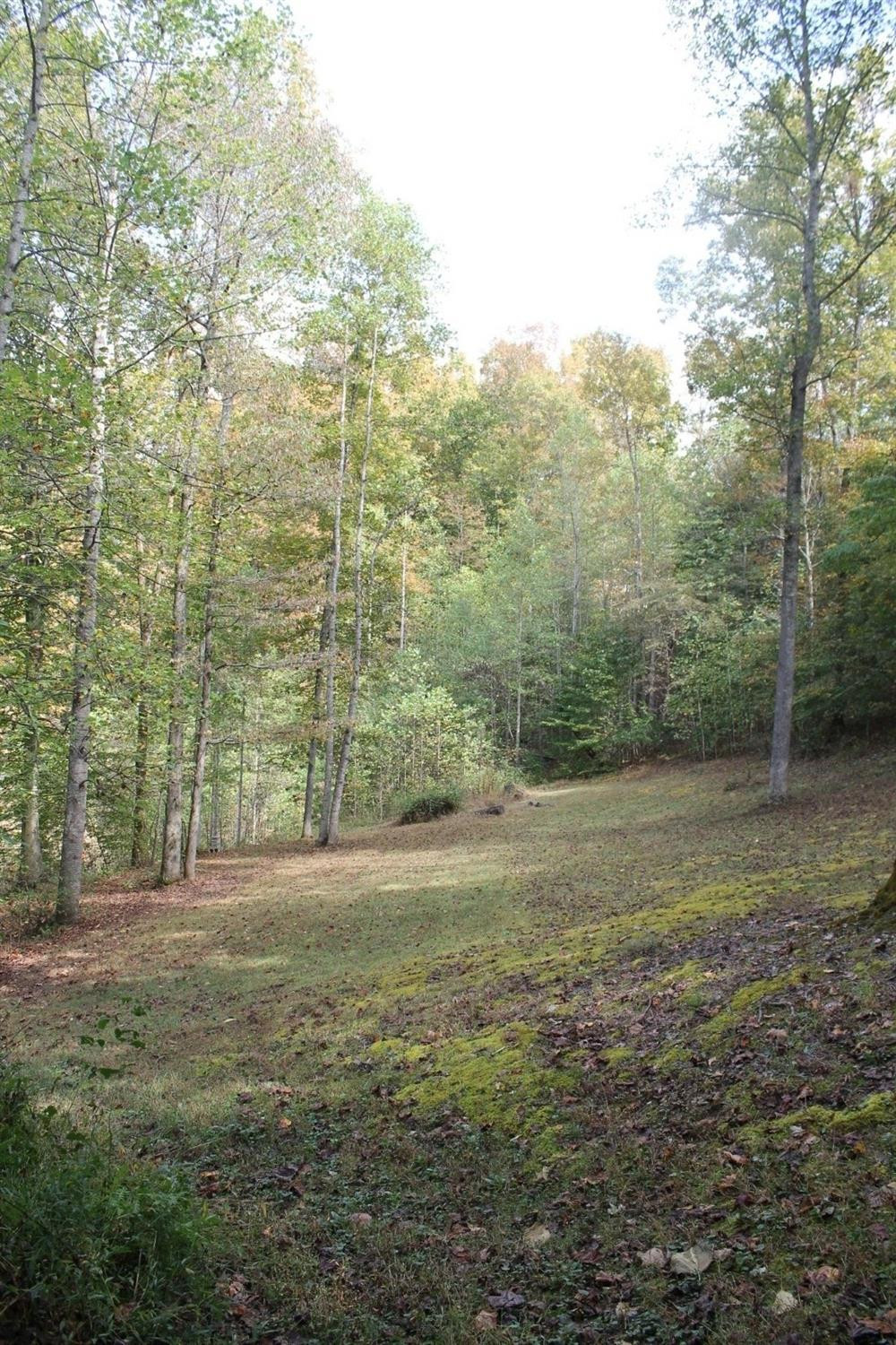 193 Midnight Pass Road Wellington, KY 40387 - Photo 27 of 29 Listing Photo