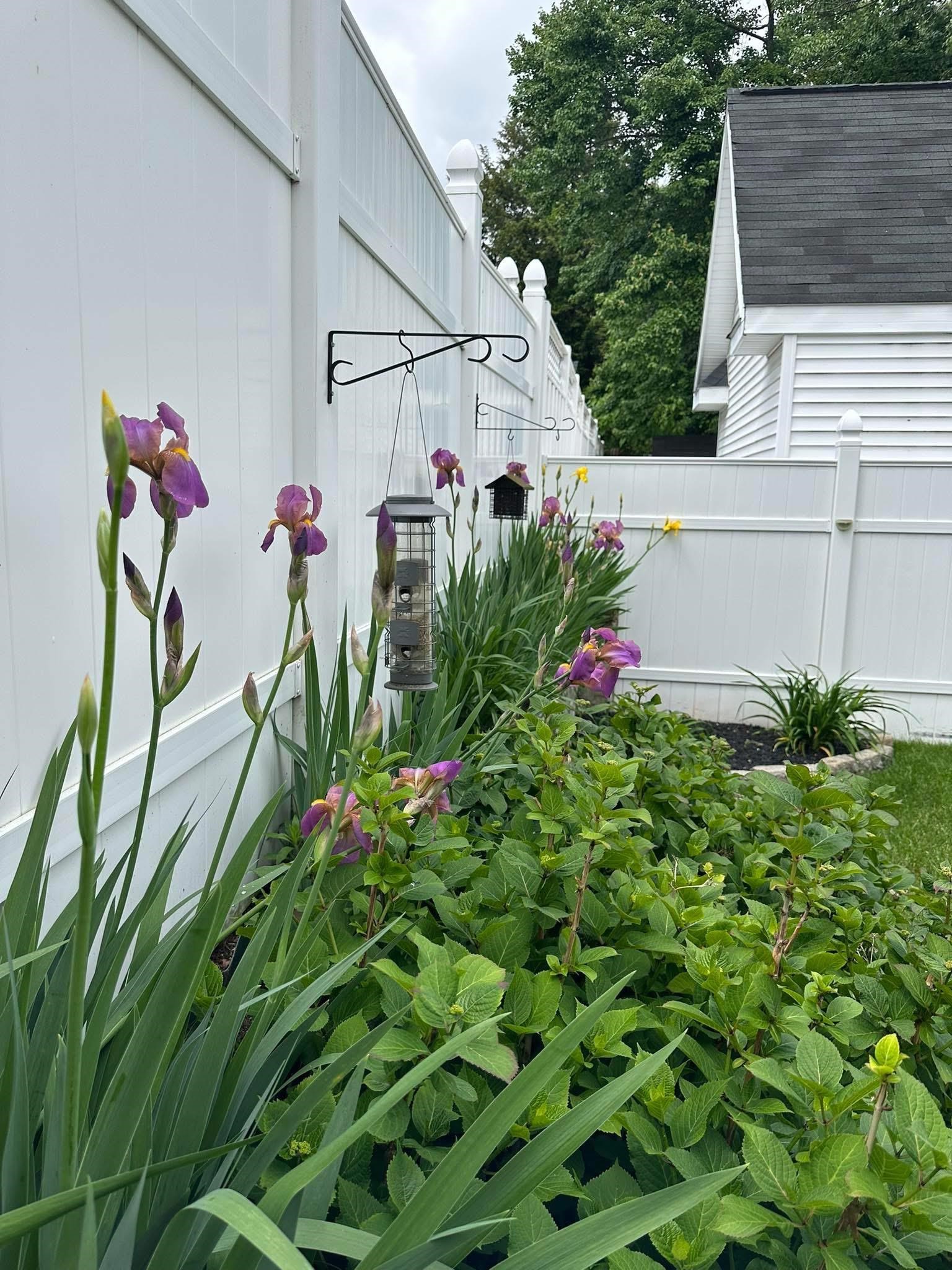 38 Armand Avenue Manchester, NH 03103 - Photo 5 of 5