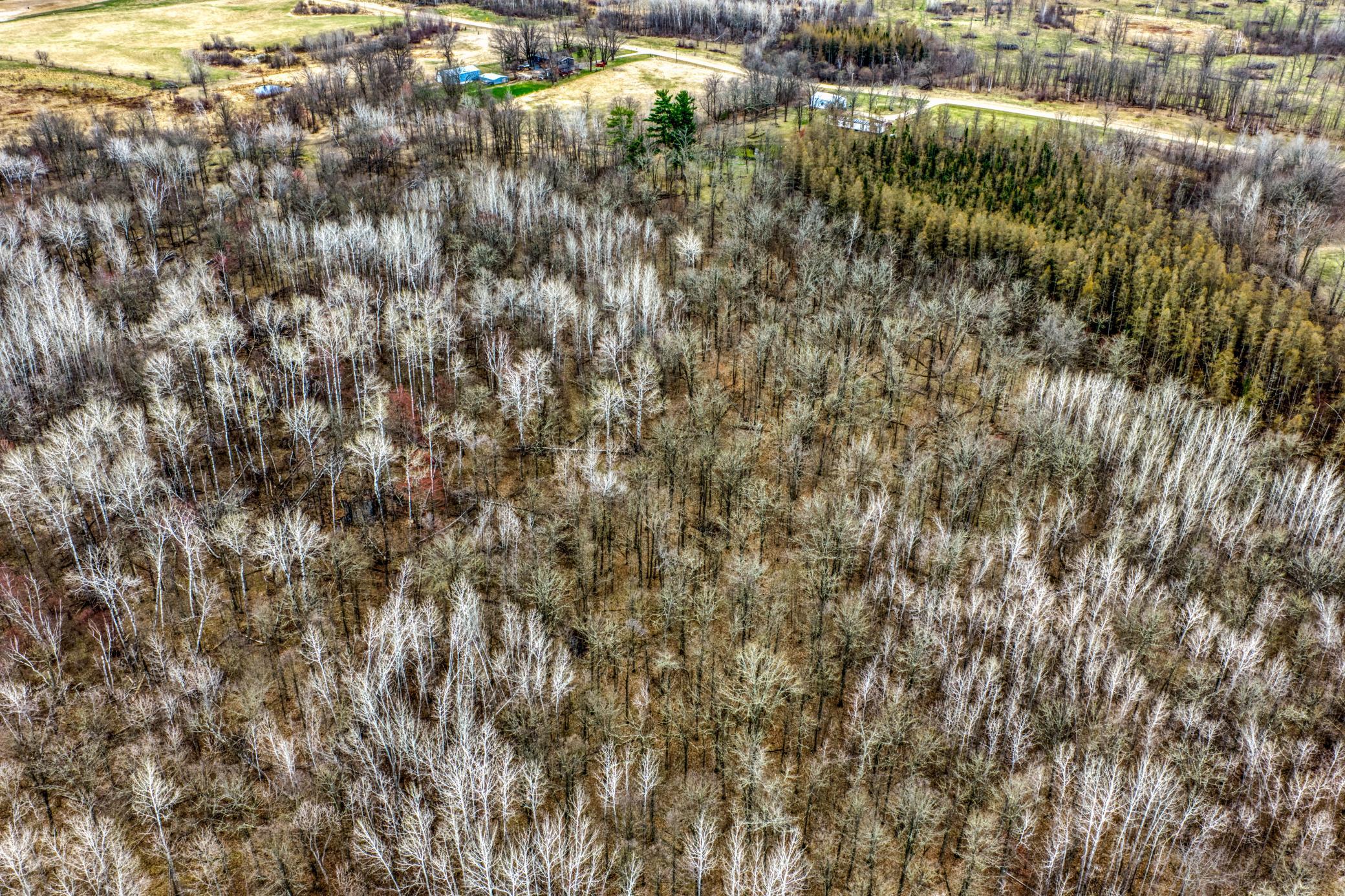 13217 Beaver Road Northeast Bemidji, MN 56601 - Photo 11 of 25 Gallery Image 11