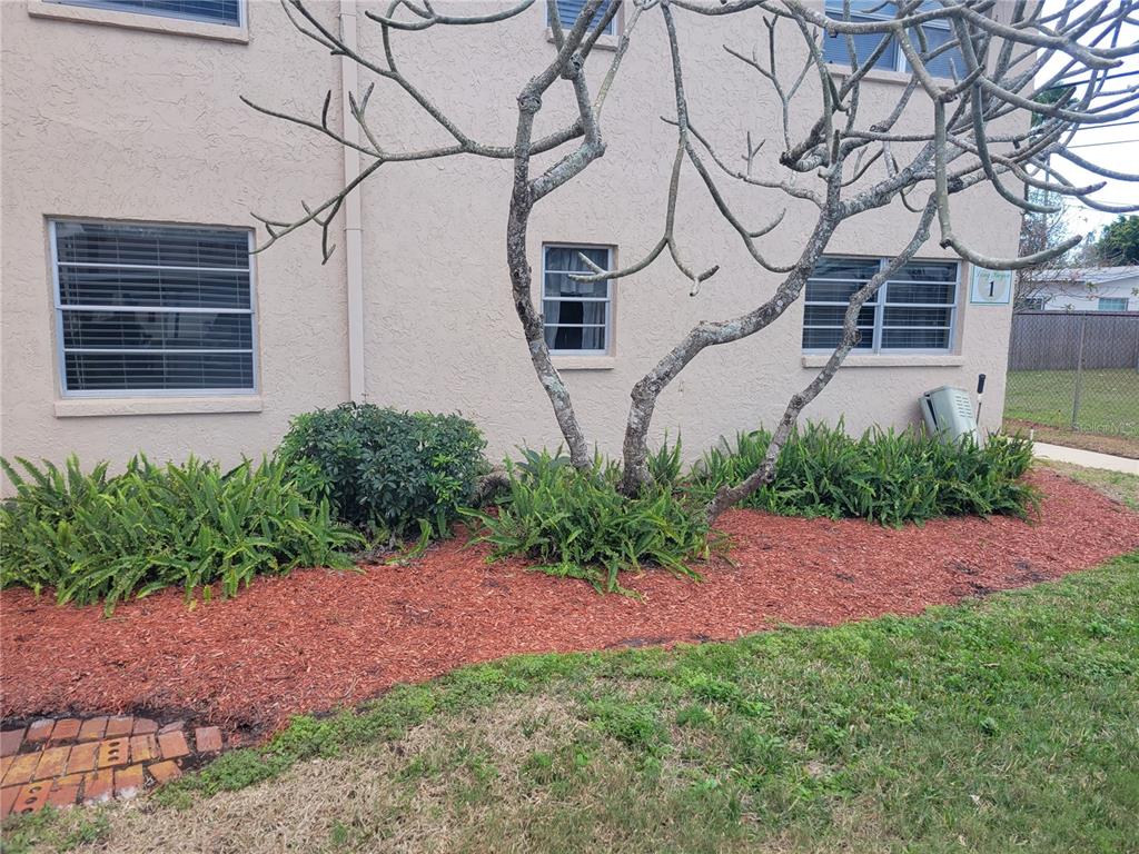 10032 65th Avenue North, Unit 8 St. Petersburg, FL 33708 - Photo 56 of 61 a front view of a house with plants and trees