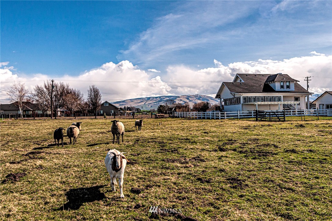 3486 Powerline Road Walla Walla, WA 99362 - Photo 39 of 40 Gallery Image 39