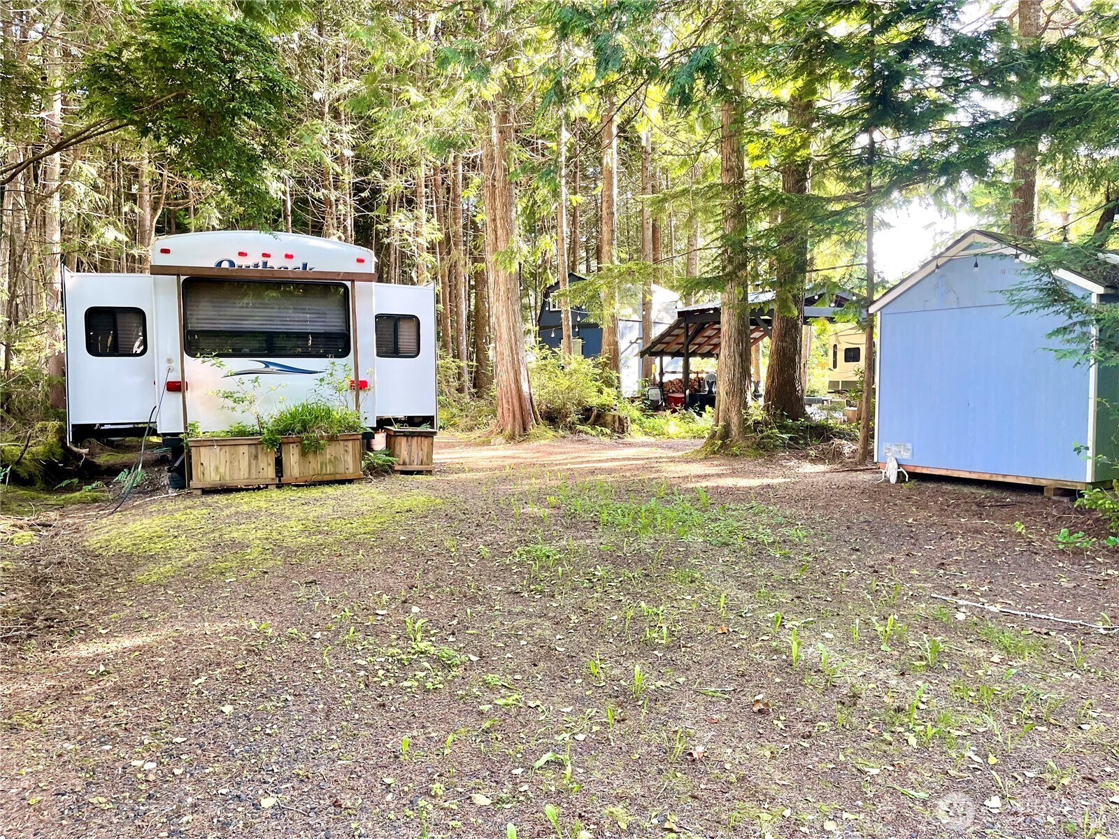 56 Butterfly Lane Pacific Beach, WA 98571 - Photo 11 of 29 a front view of a house with a yard