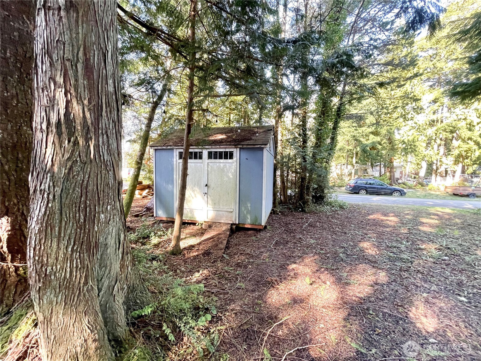 56 Butterfly Lane Pacific Beach, WA 98571 - Photo 3 of 29 a view of a house with a yard and tree s