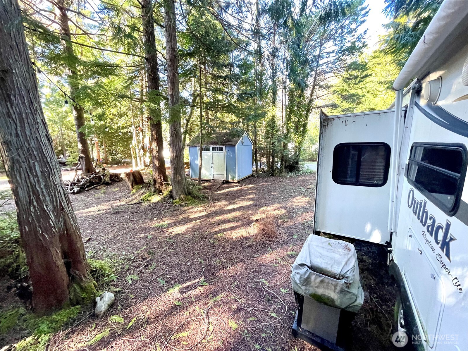56 Butterfly Lane Pacific Beach, WA 98571 - Photo 5 of 29 a view of a yard with chairs and a tree