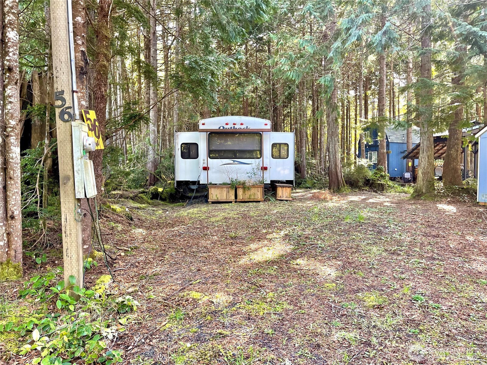56 Butterfly Lane Pacific Beach, WA 98571 - Photo 9 of 29 a view of a house with a yard covered in the forest