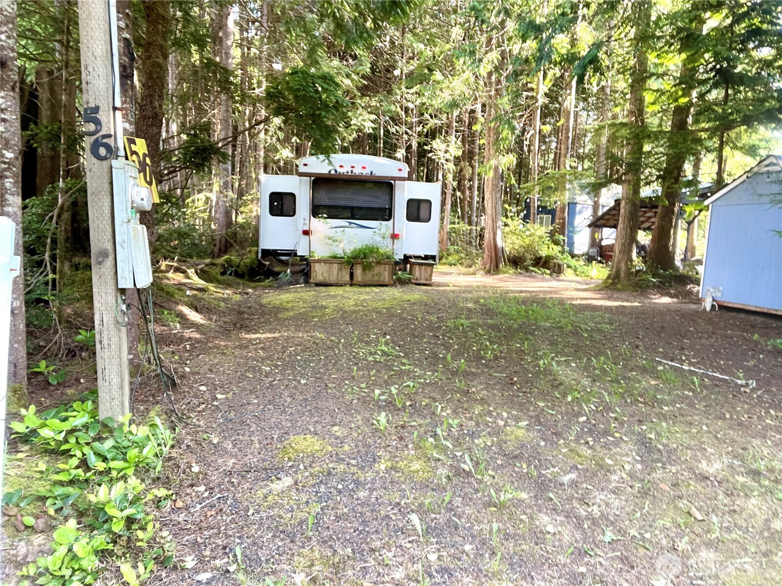 56 Butterfly Lane Pacific Beach, WA 98571 - Photo 10 of 29 a view of a house with backyard