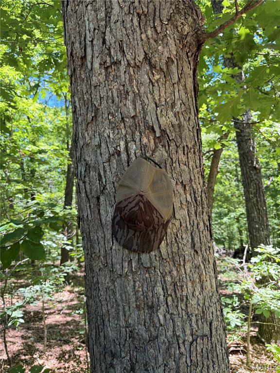 0 Lodge Road Bourbon, MO 65441 - Photo 17 of 18