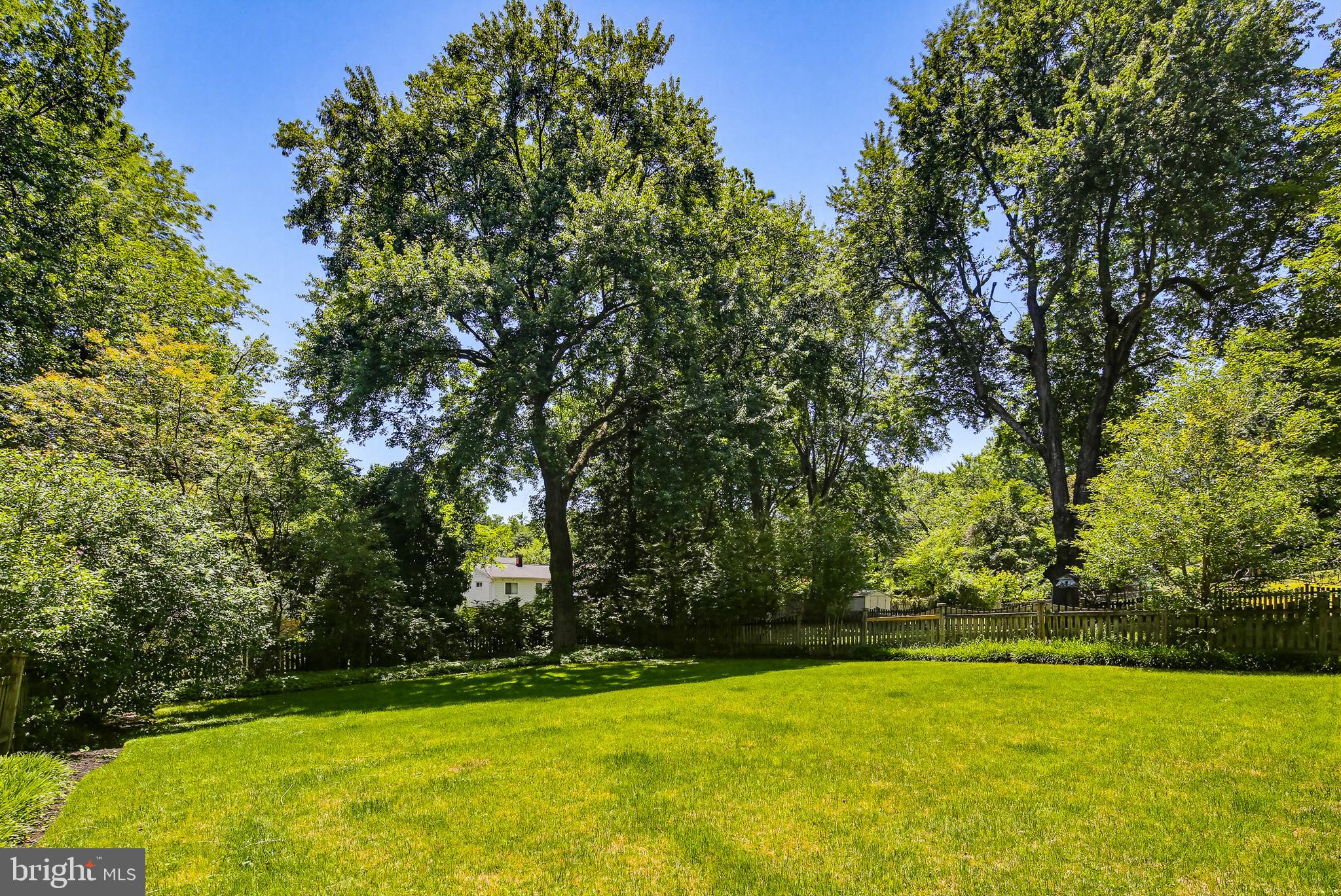 504 Waterford Road Silver Spring, MD 20901 - Photo 51 of 61 Fully fenced flat backyard