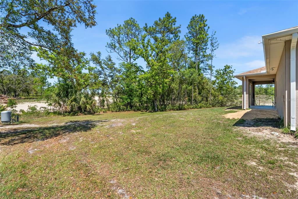 13391 Ruffed Grouse Road Weeki Wachee, FL 34614 - Photo 21 of 25 a view of a yard with an outdoor space