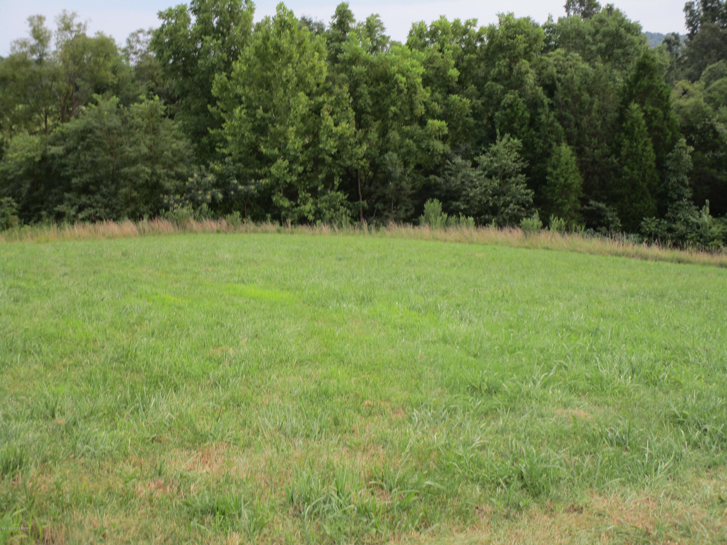 1171 Post-Hopewell Road Caneyville, KY 42721 - Photo 40 of 55 IMG_0187