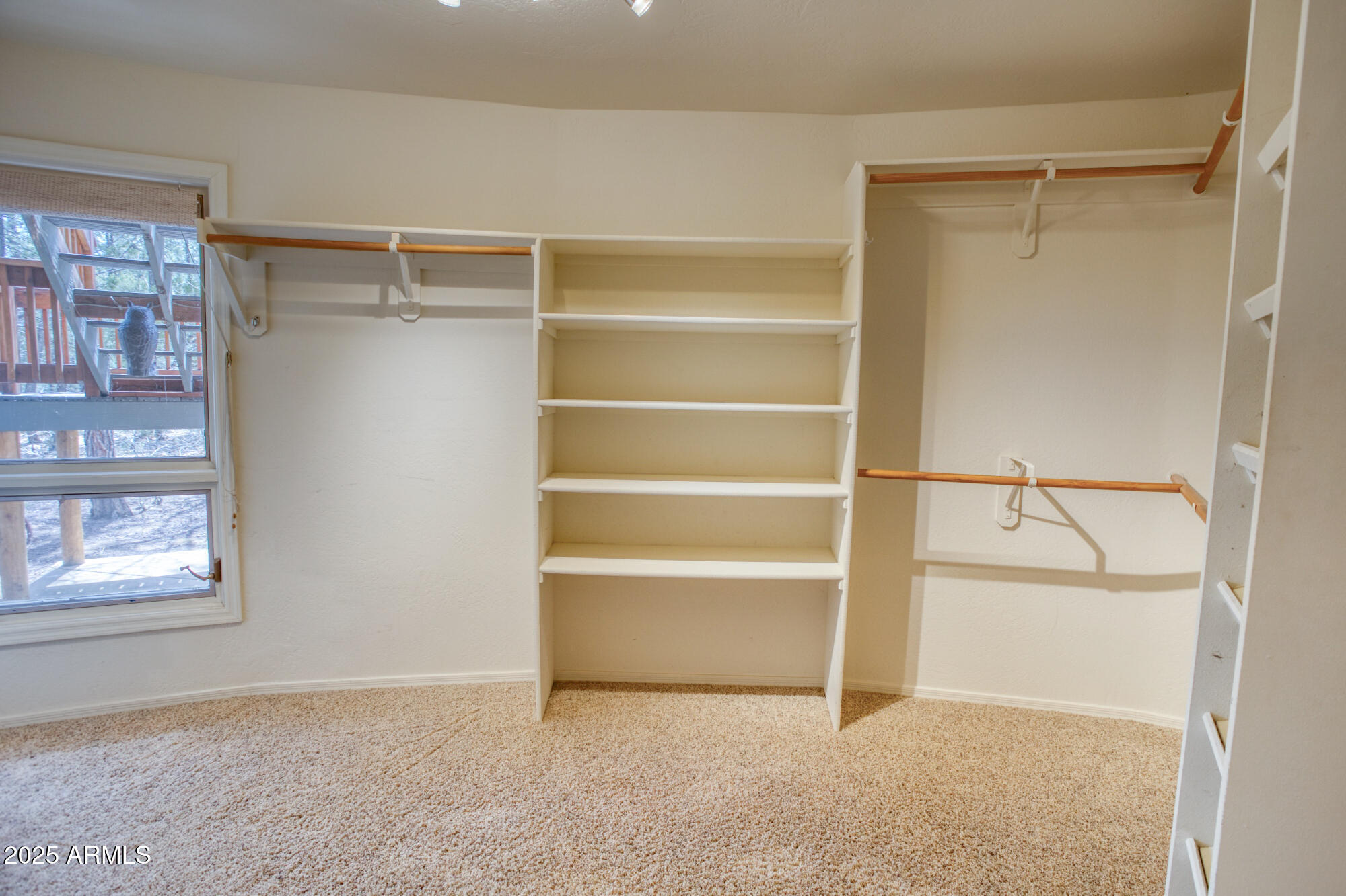 902 Rim Road Lakeside, AZ 85929 - Photo 22 of 55 Spacious primary walk in closet